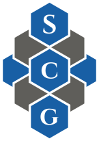 Seth Consulting Group